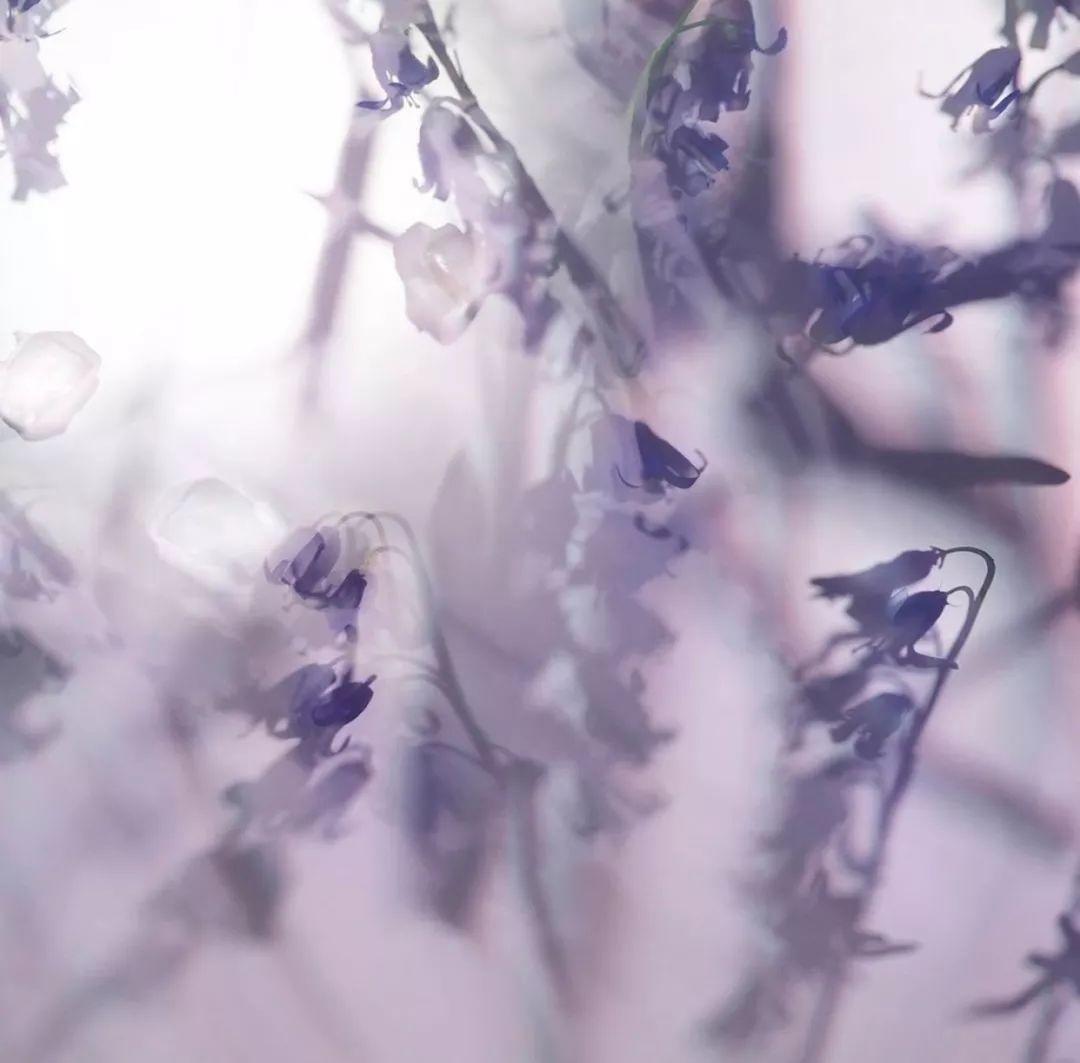 Jo Malone London 祖玛珑蓝风铃香水真假辨别 奢品会