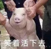 大牌们的奇葩土味中文名,竟让我有种买得起的错觉! 大牌们的奇葩土味中文名,竟让我有种买得起的错觉!