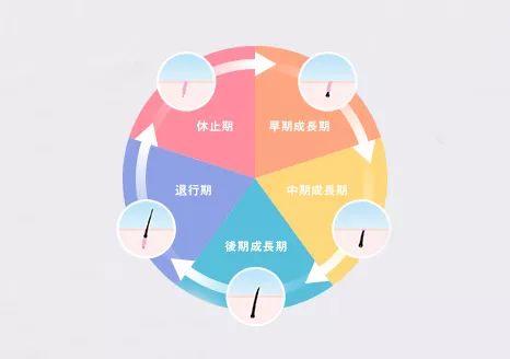 我的爱豆是个睫毛精,他是怎么长的! 我的爱豆是个睫毛精,他是怎么长的!
