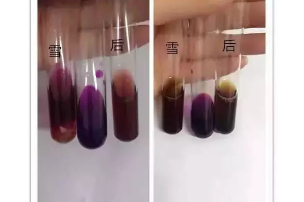 后whoo拱辰享系列和雪花秀滋阴水乳哪个好用  水乳 测评 第5张