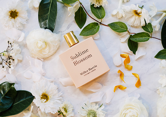 Miller Harris London 两款全新淡香精「仙履花境Sublime Blossom」「恬谧花径Secret Gardenia」