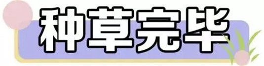 20岁到40岁面部精华推荐 精华 20岁 40岁 种草 护肤 第24张 20岁到40岁面部精华推荐 精华 20岁 40岁 种草 护肤 第24张