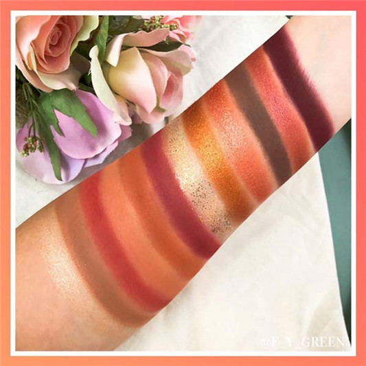 COLOURPOP WHATEVER眼影盘与同系列腮红霜试色分享 彩妆 腮红 眼影 第2张 COLOURPOP WHATEVER眼影盘与同系列腮红霜试色分享 彩妆 腮红 眼影 第2张