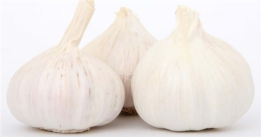 8种每天必吃的抗衰老食物  百科 抗衰老 食物 第3张