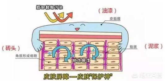 每天坚持敷面膜五年后会有什么变化,结果可能并不美好 百科 有什么 五年 后会 第3张 每天坚持敷面膜五年后会有什么变化,结果可能并不美好 百科 有什么 五年 后会 第3张