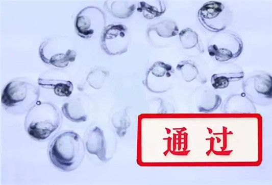 秋冬季节做好保湿，今年我只用一款面霜，不超过50块  保湿 第4张