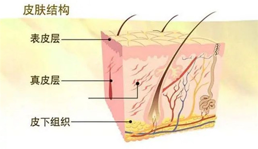 皮肤易出油爱长痘怎么办？做好这几点，皮肤会慢慢变好起来！  皮肤 第3张