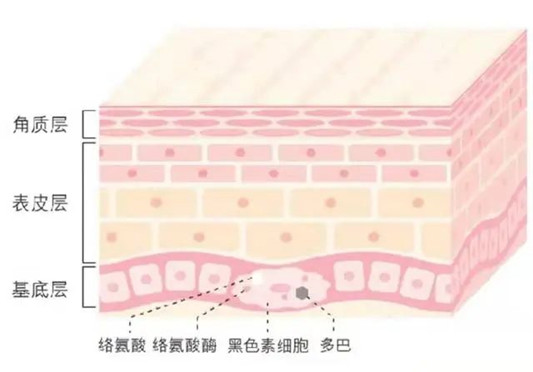 烟酰胺火爆了，好多美白产品都用它，用它真能变白？