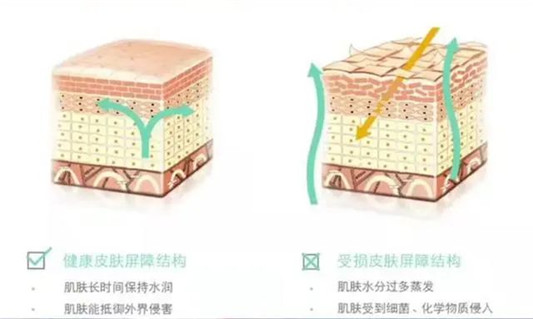 你需要了解的洗脸的重要知识！谈谈目前火爆的两款氨基酸洗面奶  洗面奶 第3张