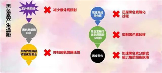 揭秘！美白成分到底哪个好？分享这三款上半年用过的美白精华