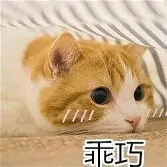 酷女孩最爱的吃土色口红，每次涂都有人问  如有 第11张