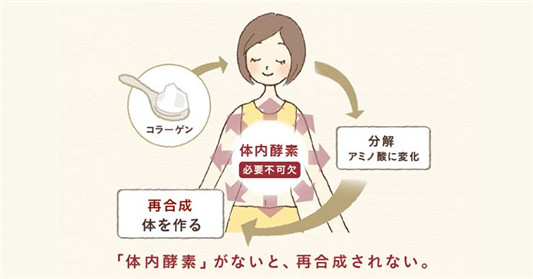 吃胶原蛋白有用吗，真的可以被皮肤吸收吗，  百科 胶原蛋白 有用吗 吸收 第4张