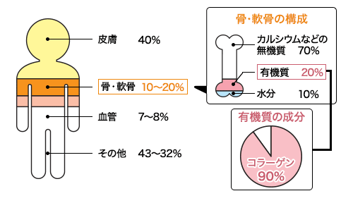 什么是胶原蛋白，胶原蛋白有什么作用，  百科 胶原蛋白 有什么 作用 第4张