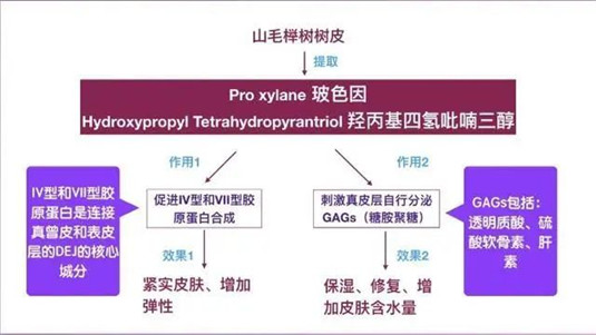 SKII与兰蔻谁的地位更高 有钱就选SKII，追求功效要选兰蔻  兰蔻 更高 第4张