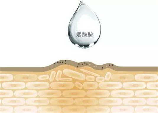 烟酰胺作为美白界的「扛把子」，效果到底如何 能与维C相比吗  把子 美白 第2张