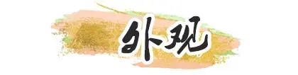 适合炎热夏季的雅诗兰黛DW持久气垫BB，杨幂同款到底妙在哪里  气垫 炎热 第5张