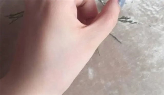想要夏天不油不脱妆，推荐几款超好用散粉  散粉 罗拉 粉扑 第12张