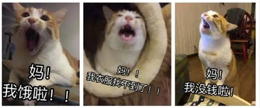 推荐几款最适合送给妈妈的化妆品，“我说不要我女儿非给我买”