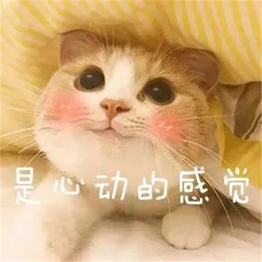 超显白的3CE唇釉，这些绝美色号你必须拥有，  来源 图片 这支 第18张