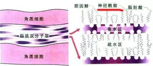 防晒界的ABC原则你知道吗其实防晒霜才是那个防晒效果最差的 防晒 防晒霜 卸妆 第5张 防晒界的ABC原则你知道吗其实防晒霜才是那个防晒效果最差的 防晒 防晒霜 卸妆 第5张