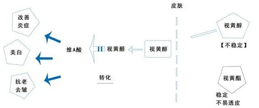 30岁如何抗衰认准A醇就对了,抗衰效果好但它凭什么比玻色因贵 成分 效果 的是 第4张 30岁如何抗衰认准A醇就对了,抗衰效果好但它凭什么比玻色因贵 成分 效果 的是 第4张