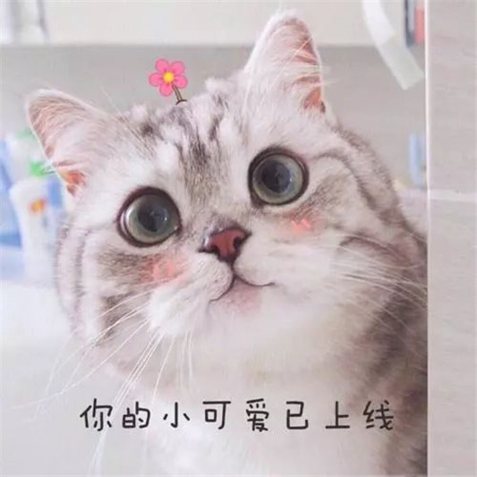 护肤品正确顺序，肌底液可不在「洁面后水前」，弄错顺序效果不好