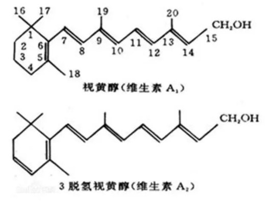 全面探索明星抗老成分视黄醇，真的有商家说的那么神奇  维生素 效果 护肤品 第2张