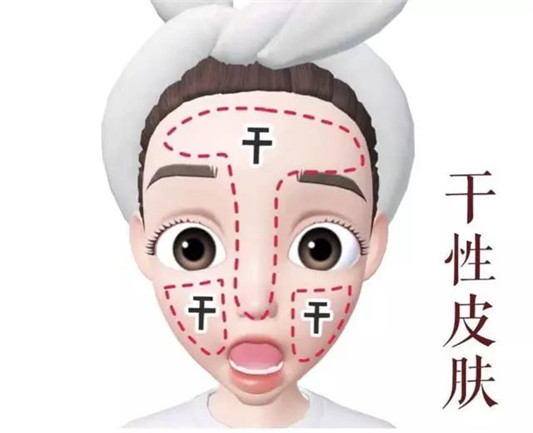 自己到底是什么肤质这篇文章统统告诉你  肌肤 干性 肤质 第3张