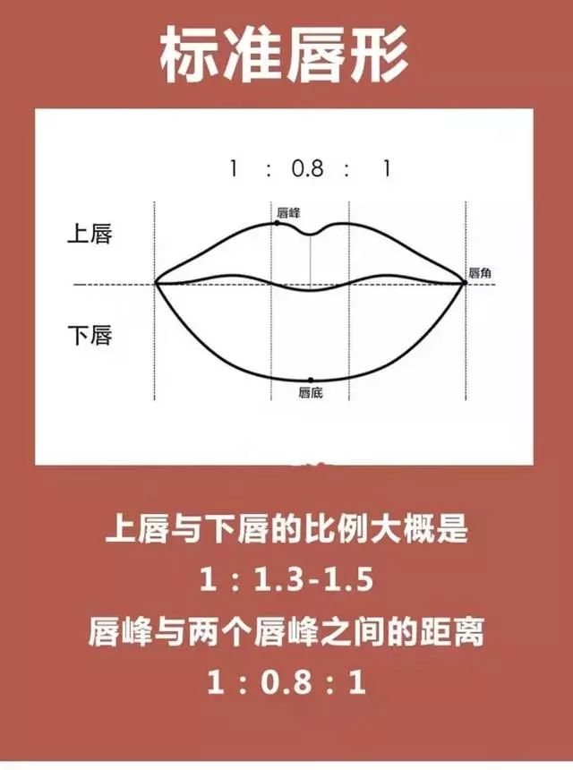 化妆新手怎么涂口红好看教你涂口红正确方法，饱满均匀又不掉色  口红 唇膏 唇形 第9张