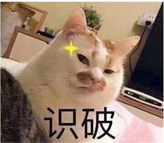 28款人气粉饼，只有选对粉饼，拍照都不用磨皮和美颜  粉饼 肌肤 肤色 第2张