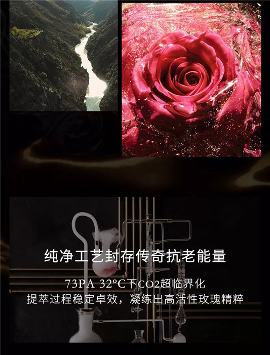 爆款化妆品-兰蔻菁纯臻颜面霜  width vertical max 第6张