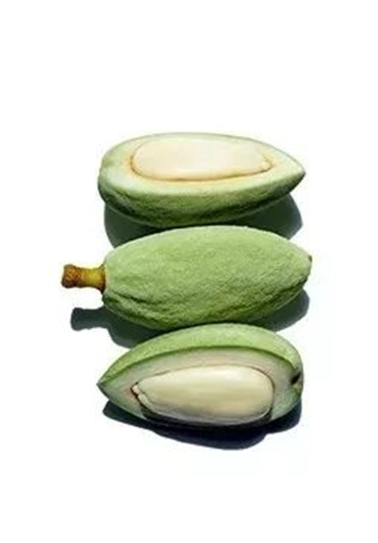 双萃精华爆红之后，娇韵诗再推新品兰花双萃乳  兰花 精油 植物 第7张
