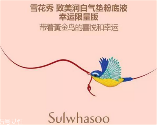 雪花秀3款气垫BB霜的区别 雪花秀致美**气垫  雪花秀 气垫 第2张