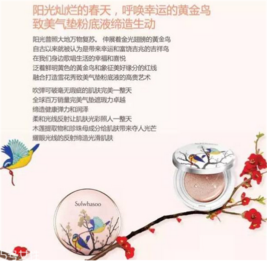 雪花秀3款气垫BB霜的区别 雪花秀致美**气垫  雪花秀 气垫 第3张