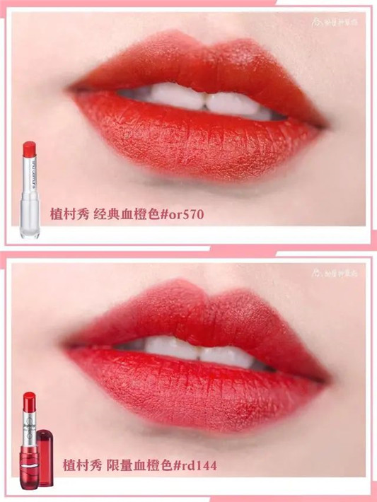 小众口红种草篇，那些你不知道却悄悄美起来的口红色号  这款 颜色 口红 第8张