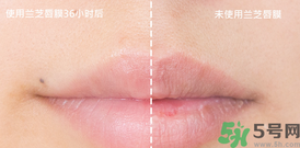 兰芝唇膜使用方法，兰芝唇膜怎么用  兰芝 唇膜 呼吸37度 第5张