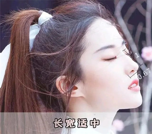 好看鼻子的七个标准，增添颜值还有辨识度，看你中了几条  鼻子 小柱 夹角 第4张