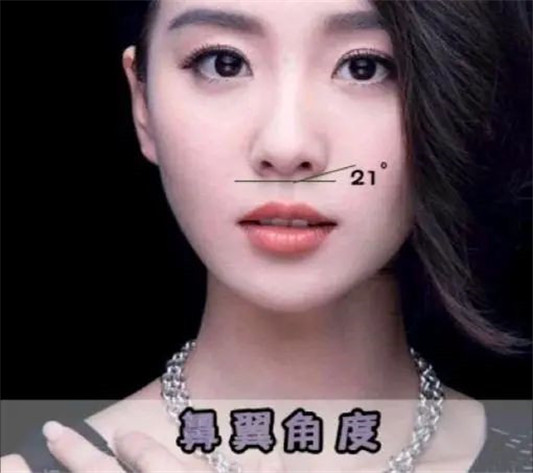 好看鼻子的七个标准，增添颜值还有辨识度，看你中了几条  鼻子 小柱 夹角 第9张