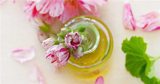 精油是什么，精油源自哪里  精油 芳香疗法 第2张