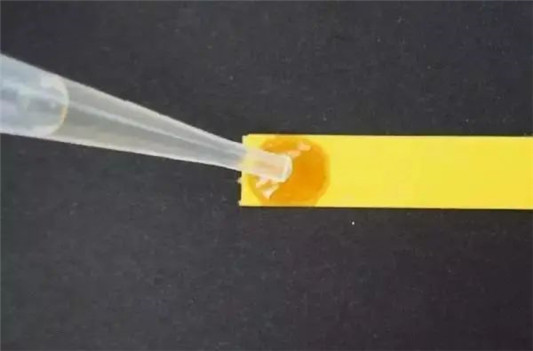 科颜氏金盏花爽肤水，据说全球常年销售第一的一款化妆水  科颜氏 化妆水 金盏花 第8张