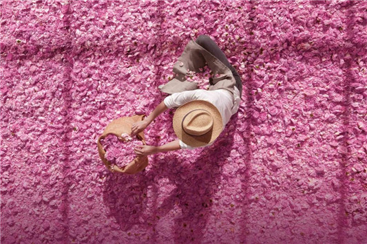 迪奥2020全新花漾香体蜜粉上市，穿上Miss Dior香气  2020 肌肤 迪奥 第4张