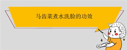 马齿菜煮水洗脸的功效