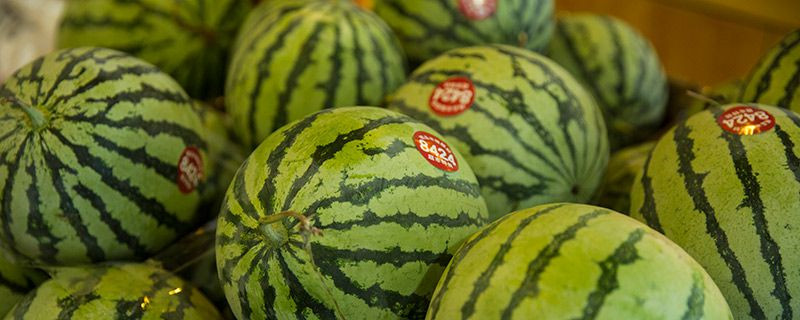 西瓜皮可以洗脸吗