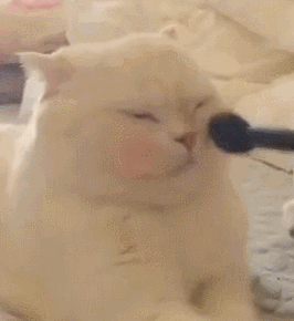 十大销量腮红排行榜,好用的NARS倩碧MAC橘朵上榜 腮红 排行榜 彩妆 第2张 十大销量腮红排行榜,好用的NARS倩碧MAC橘朵上榜 腮红 排行榜 彩妆 第2张