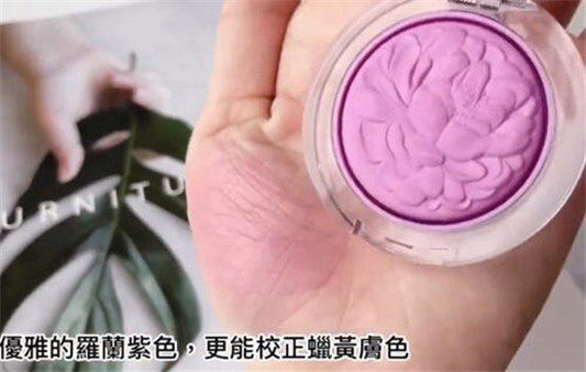 倩碧花园野餐主题腮红新品怎么样  倩碧 腮红 彩妆 第3张