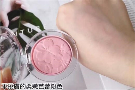 倩碧花园野餐主题腮红新品怎么样  倩碧 腮红 彩妆 第4张