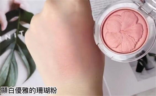 倩碧花园野餐主题腮红新品怎么样  倩碧 腮红 彩妆 第5张