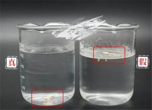 露华浓24h粉底液真假怎么区分 辨别方法推荐  露华浓 粉底液 真假 彩妆 第9张