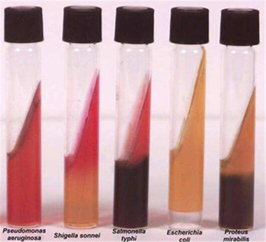 口红评级最安全的品牌 这些可以放心用 口红 品牌 评级 彩妆 第2张 口红评级最安全的品牌 这些可以放心用 口红 品牌 评级 彩妆 第2张