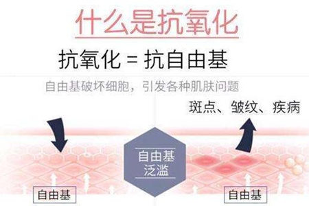 抗糖化和抗氧化的区别有哪些 抗糖化 抗氧化 抗皱护肤 第2张 抗糖化和抗氧化的区别有哪些 抗糖化 抗氧化 抗皱护肤 第2张